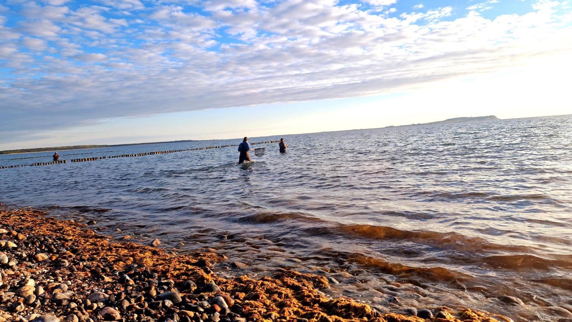 App 7O Kleinertag Am Meer ดรันส์เคอ ภายนอก รูปภาพ